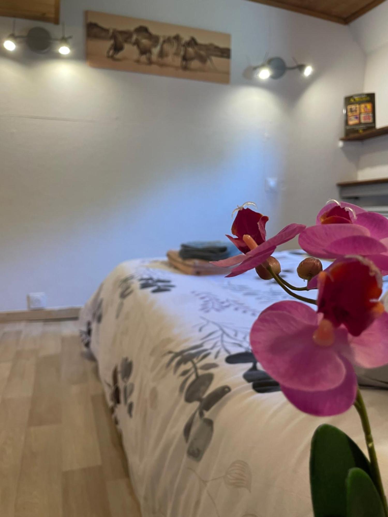 Peniche Le Pescalune - Chambre D'Hotes Арль Экстерьер фото